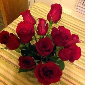 Meet your Posher, Noelia